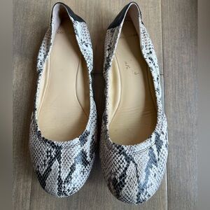 Cole Haan Ballet Flat Snake Skin